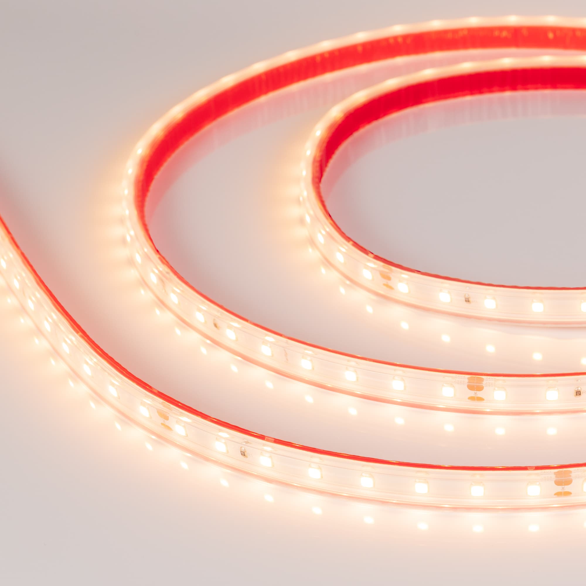 Лента светодиодная 6 Вт/м 24В IP67 3000K 80LED/м RT/RTW-A80-8-10mm SMD 2835 50 м