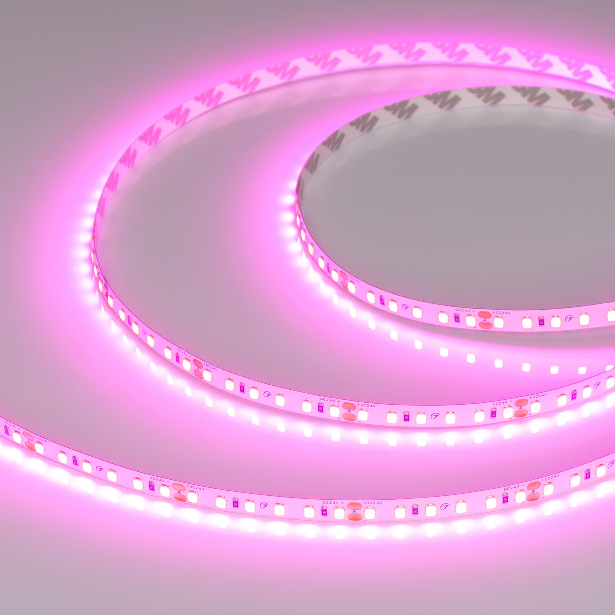 Лента светодиодная 9.6 Вт/м 24В Пурпурно-розовый IP20 120LED/м RT-A120-8-11mm SMD 2835 5 м