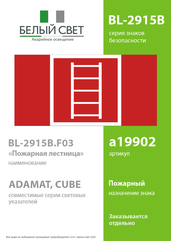 Знак безопасности BL-2915B.F03''Пожарная лестница''