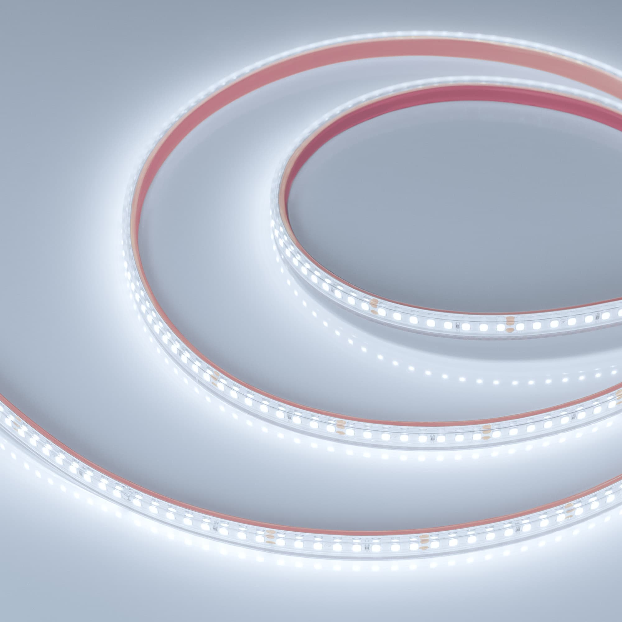 Лента светодиодная 12 Вт/м 24В 6000K IP67 160LED/м RTW-A160-8-10mm SMD 2835 5 м герметичная