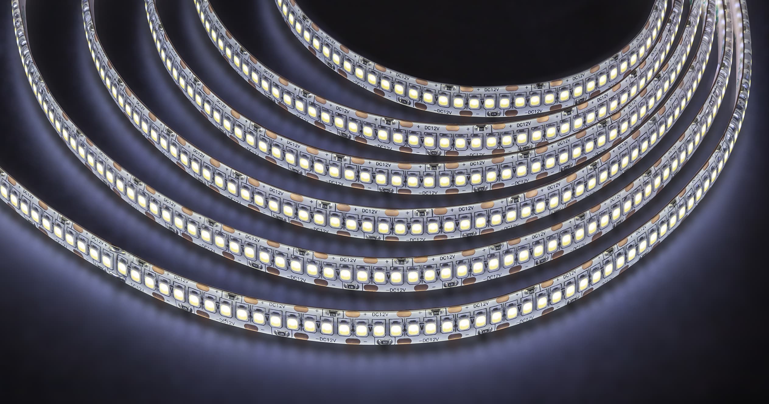 Лента светодиодная 24Вт/м 12В 6000К IP65 240LED/м NLS-2835 5м