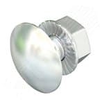 Болт с плоской головкой M6x12