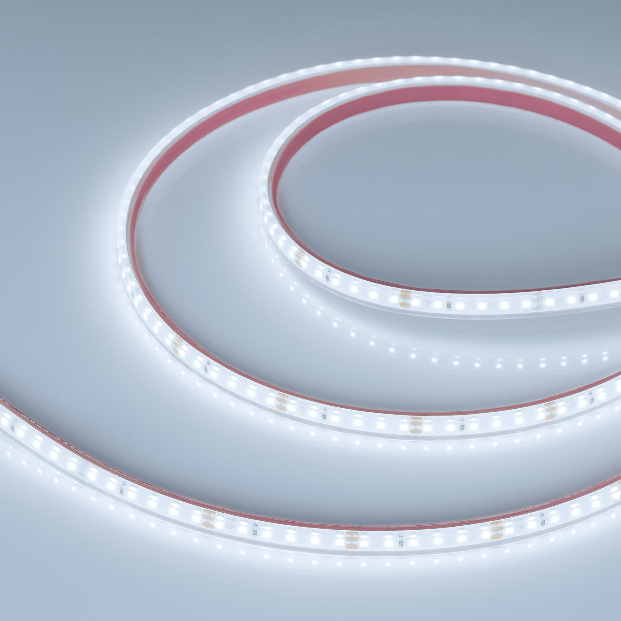 Лента светодиодная 9,6 Вт/м 24В IP68 6000K 120LED/м RT/RTW-A120-8-11mm SMD 2835 5 м