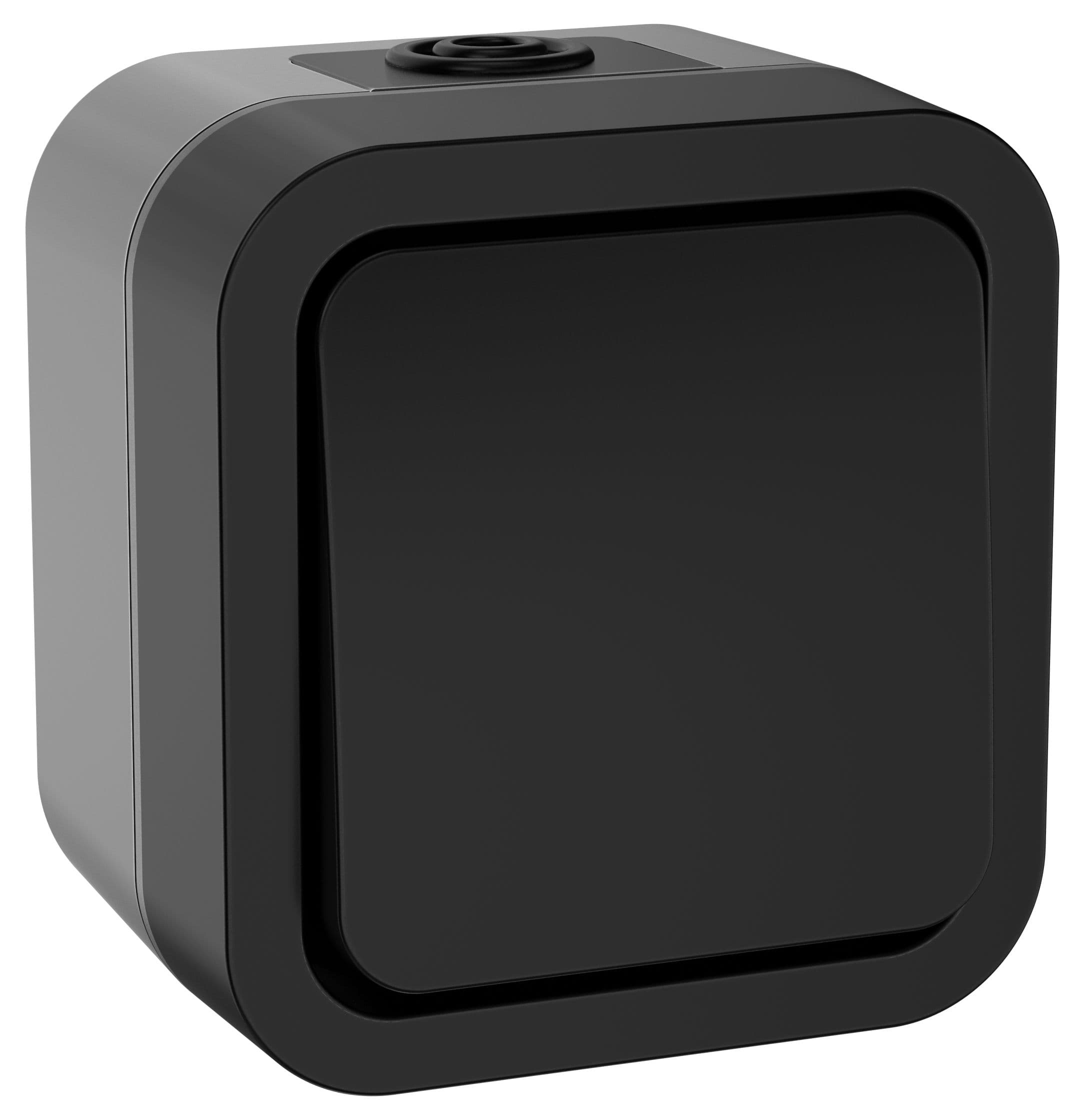 Выключатель двухполюсный одноклавишный TORS 10А IP55 графит