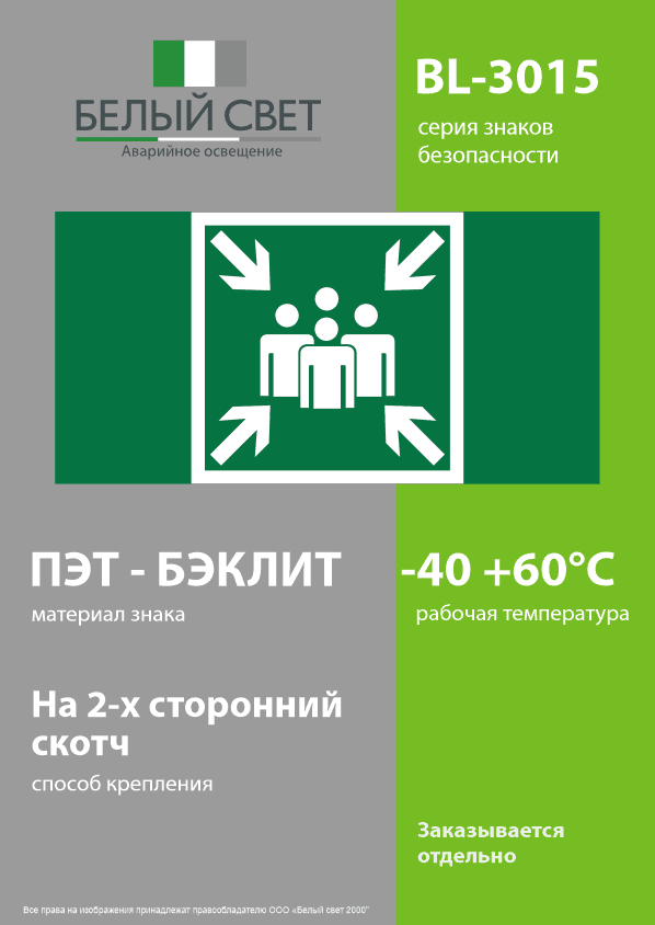 Знак безопасности BL-3015.E21''Пункт (место) сбора''