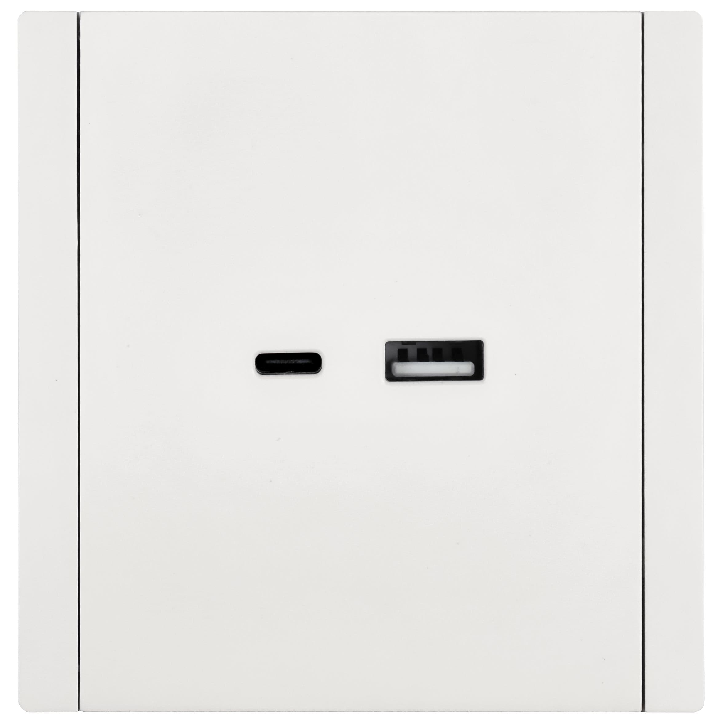 FORTE&PIANO Розетка USB A+C 3,1А FP250 белый