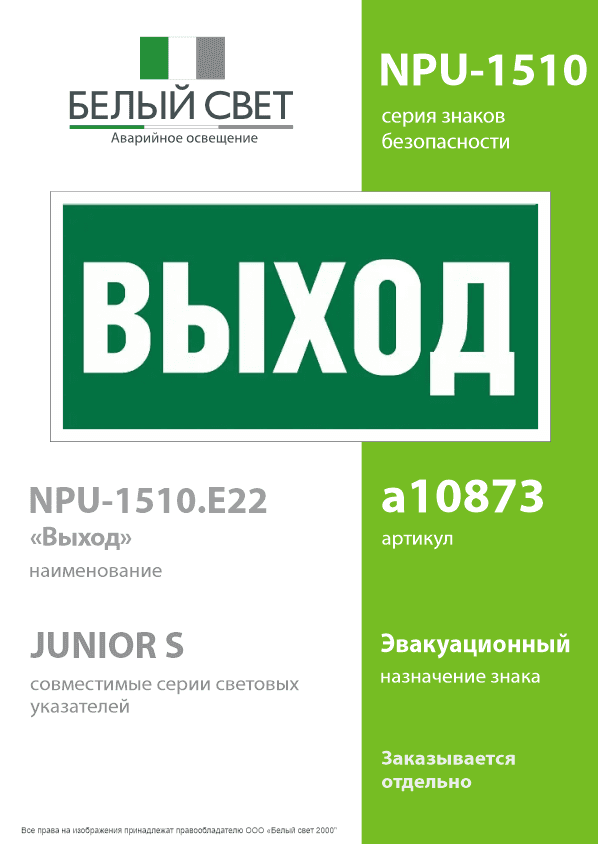 Знак безопасности NPU-1510.E22''Выход''