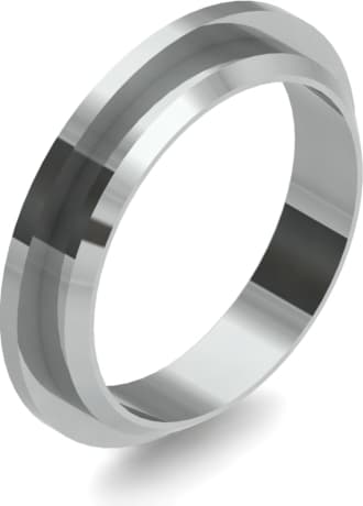 Кольцо заднее Ф4620, 14 мм, AISI 316L