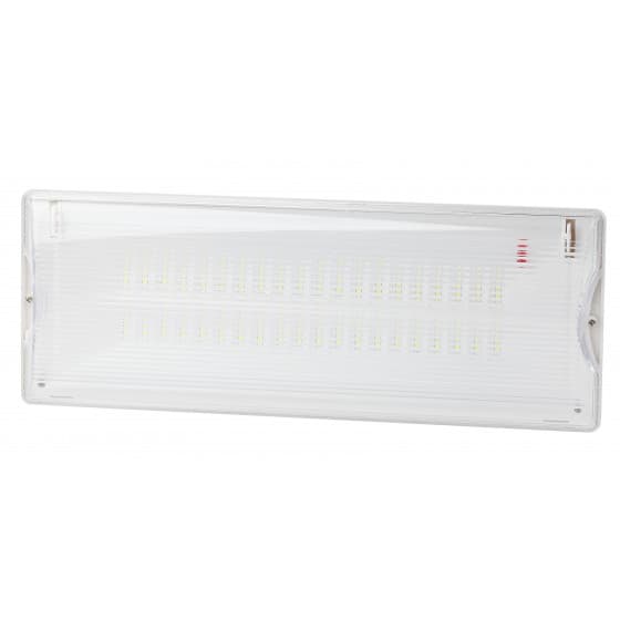 Светильник аварийный DPA-301-1-65 постоянный 40LED 3ч IP65 NiCD