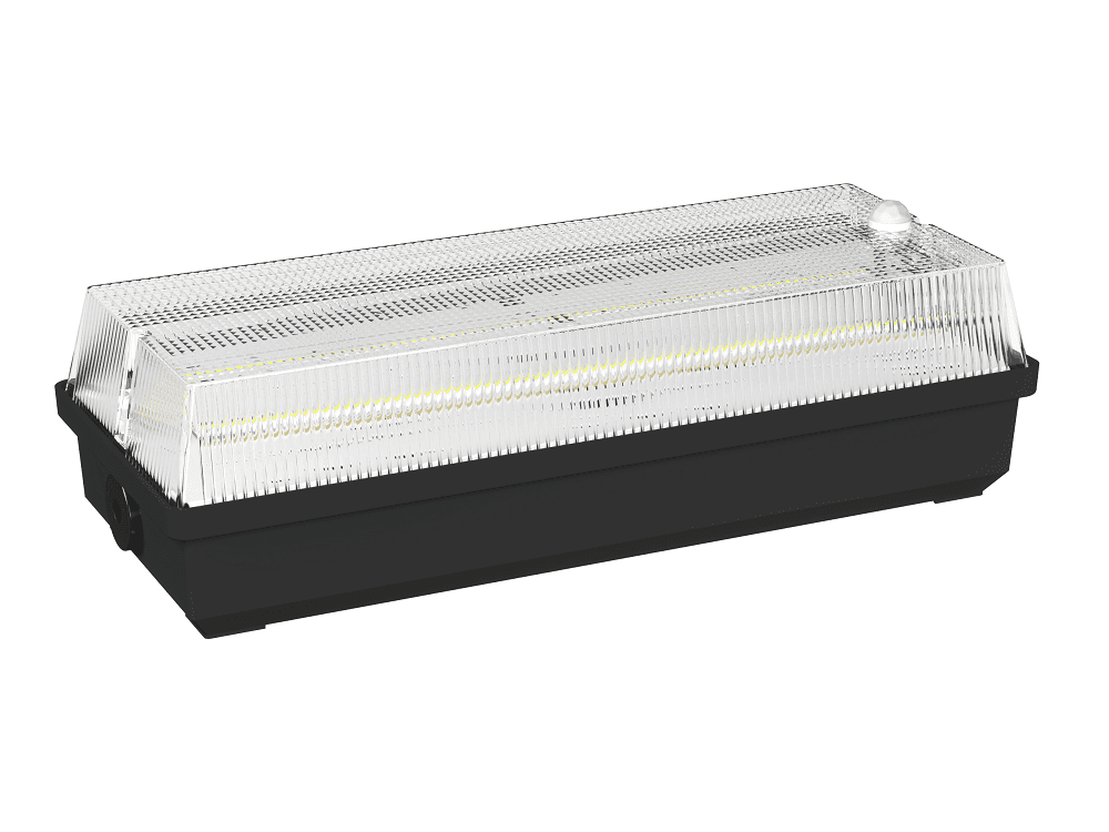 Аварийный светильник BS-UNIVERSAL-10-L6-LED 3000K DD01 Black