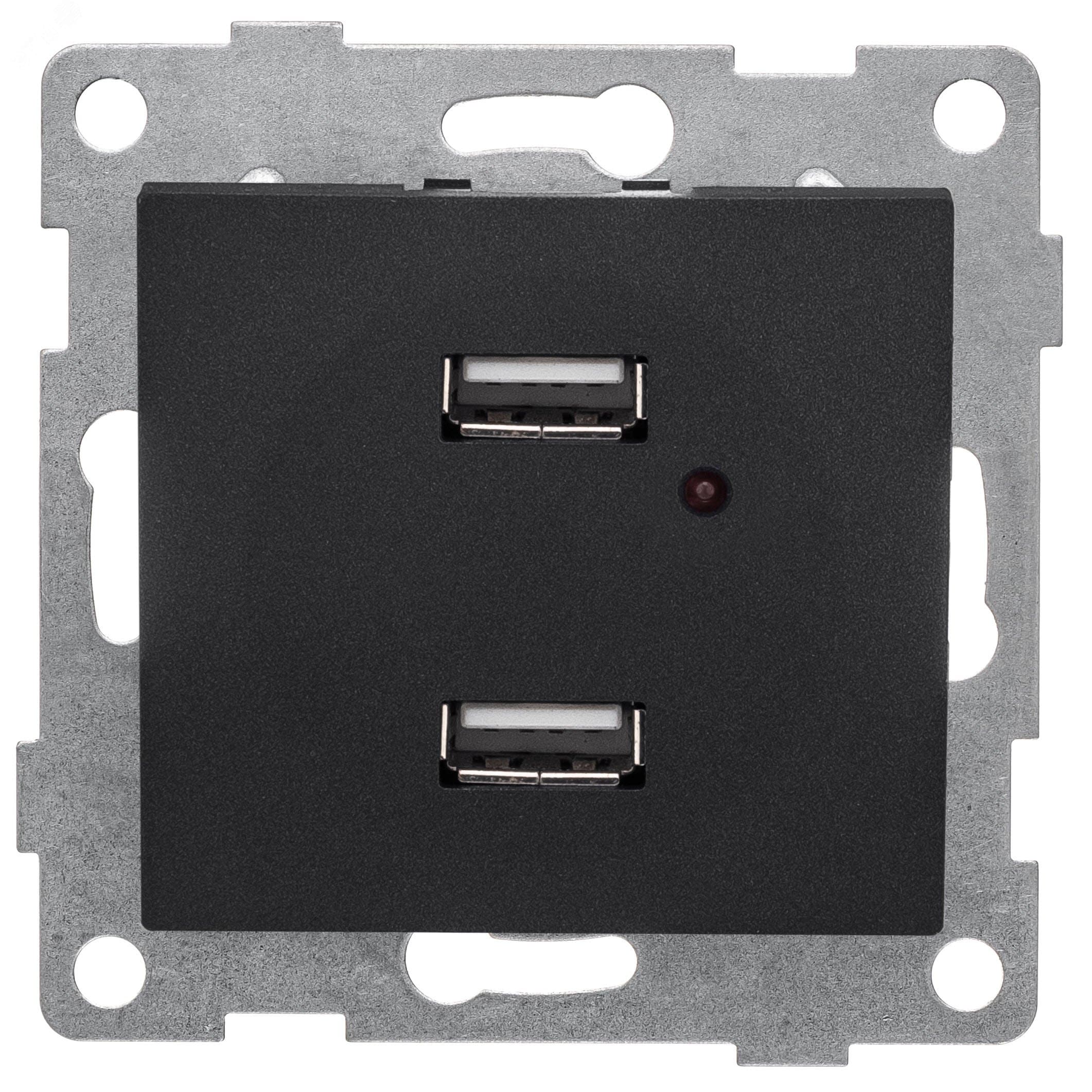 Розетка USB Bravo, механизм, двойной, графит
