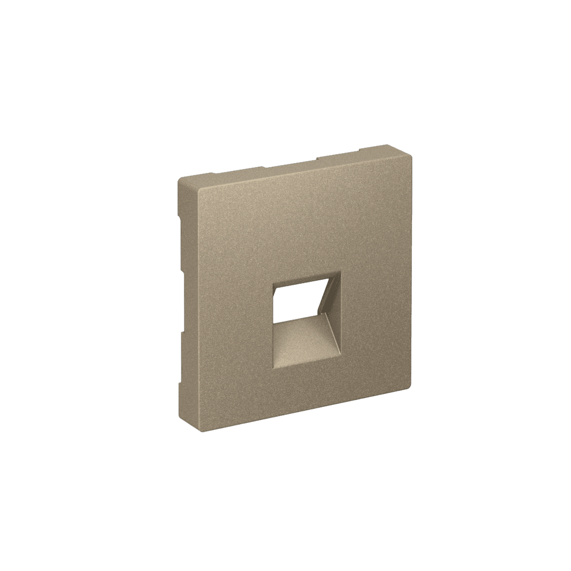 ATLASDESIGN НАКЛАДКА для информационных функций типа Keystone, ШАМПАНЬ