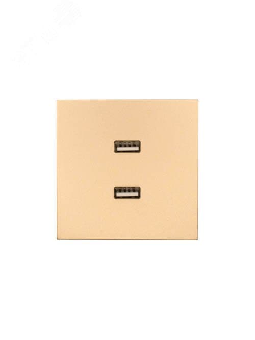 ZIMA Розетка 2-ая USB, механизм, золото Lezard 704-3688-192