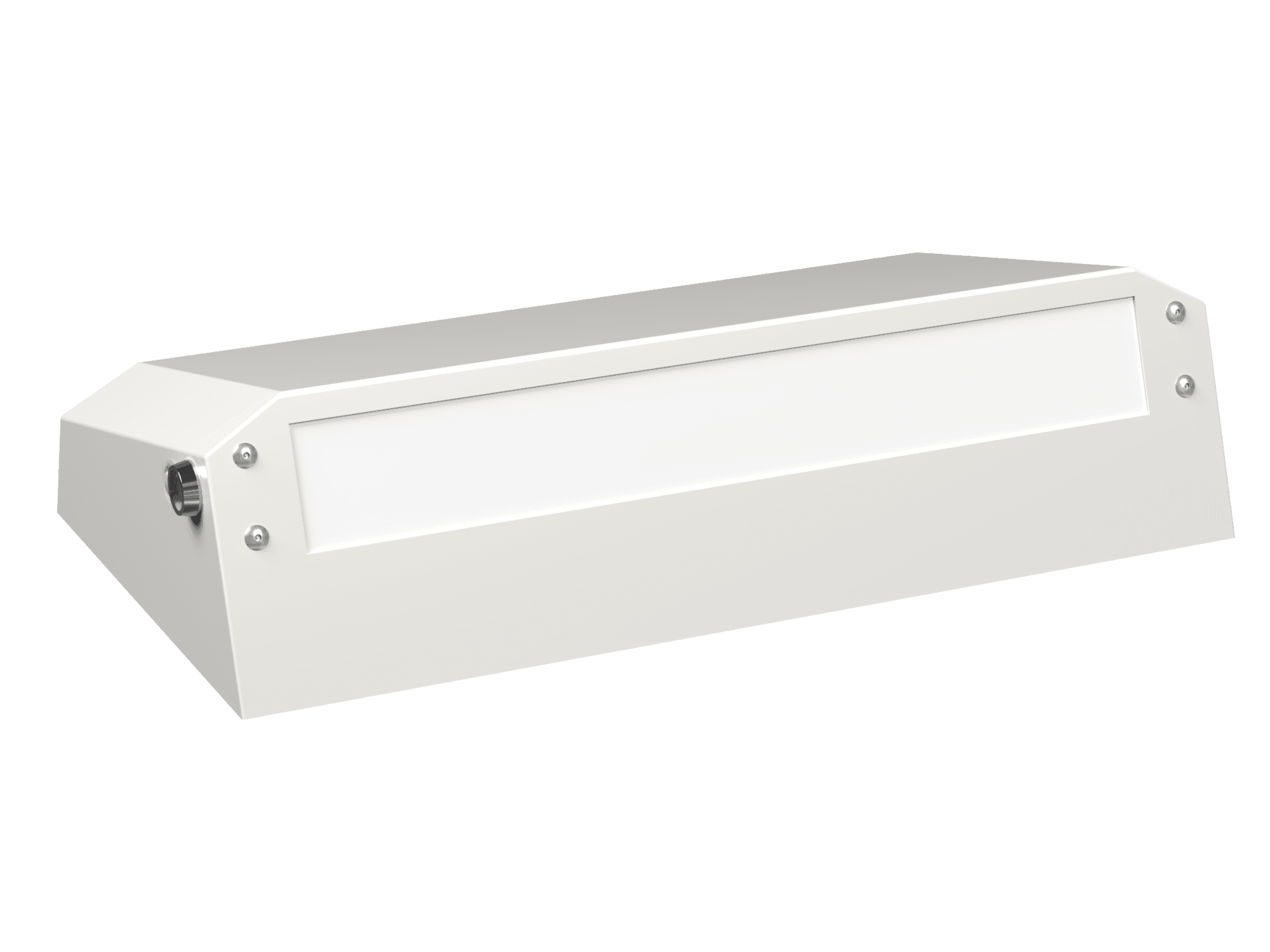 Аварийный светильник BS-CUSTOS-10-L1-12/24 4000K White