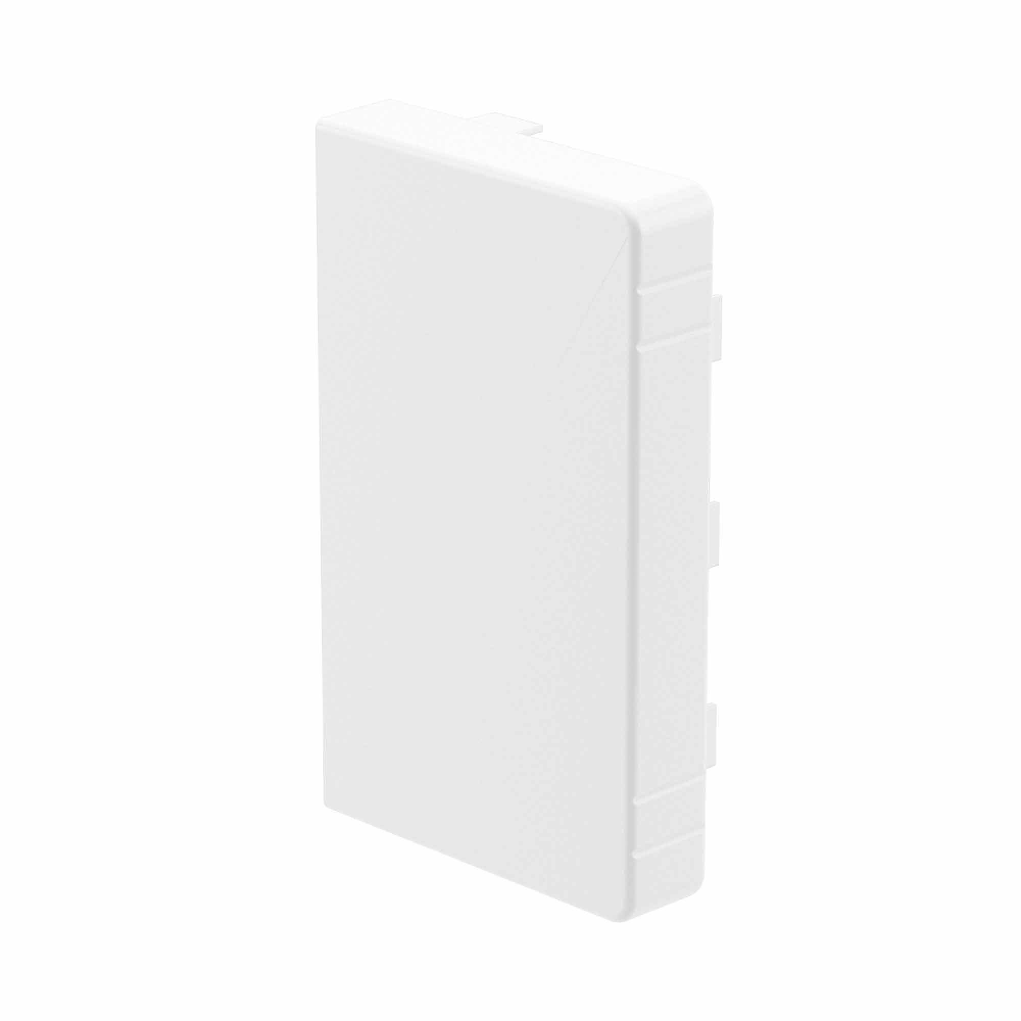 Заглушка LAN 60x40 (розница, 2 шт в пакете)