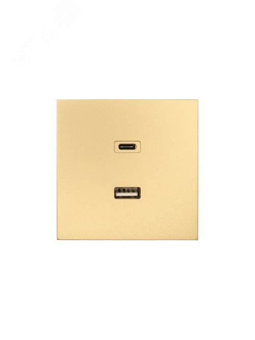 ZIMA Розетка TC+ USB, механизм, золото Lezard 704-3688-192TC