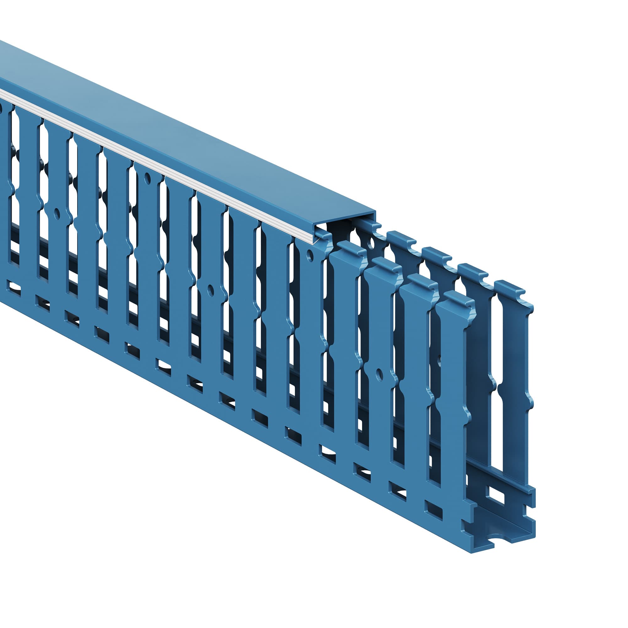 Короб перфорированный RL12 25x80 синий