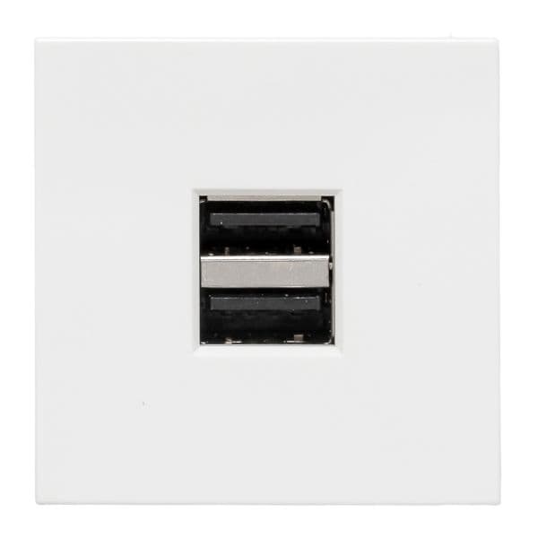 Розетка USB, сила тока 2.1 А (2 гнезда) без индикатора
