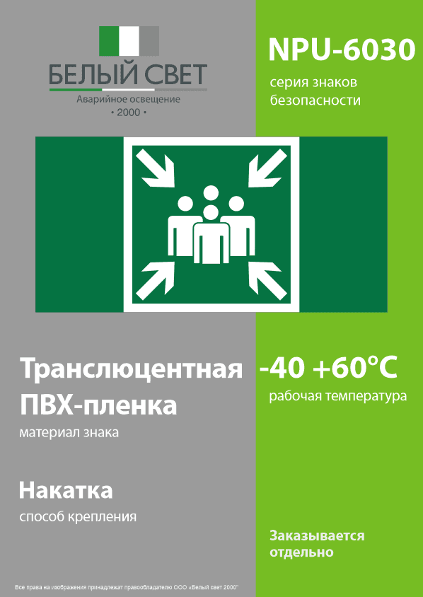 Знак безопасности NPU-6030.E21''Пункт (место) сбора''