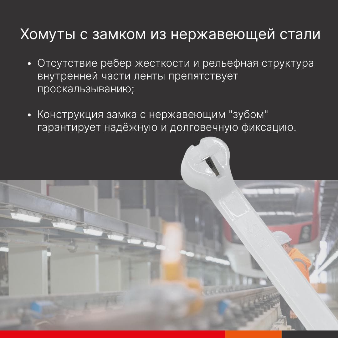 Хомут P6.6 с двойным замком, белый 2,5x100