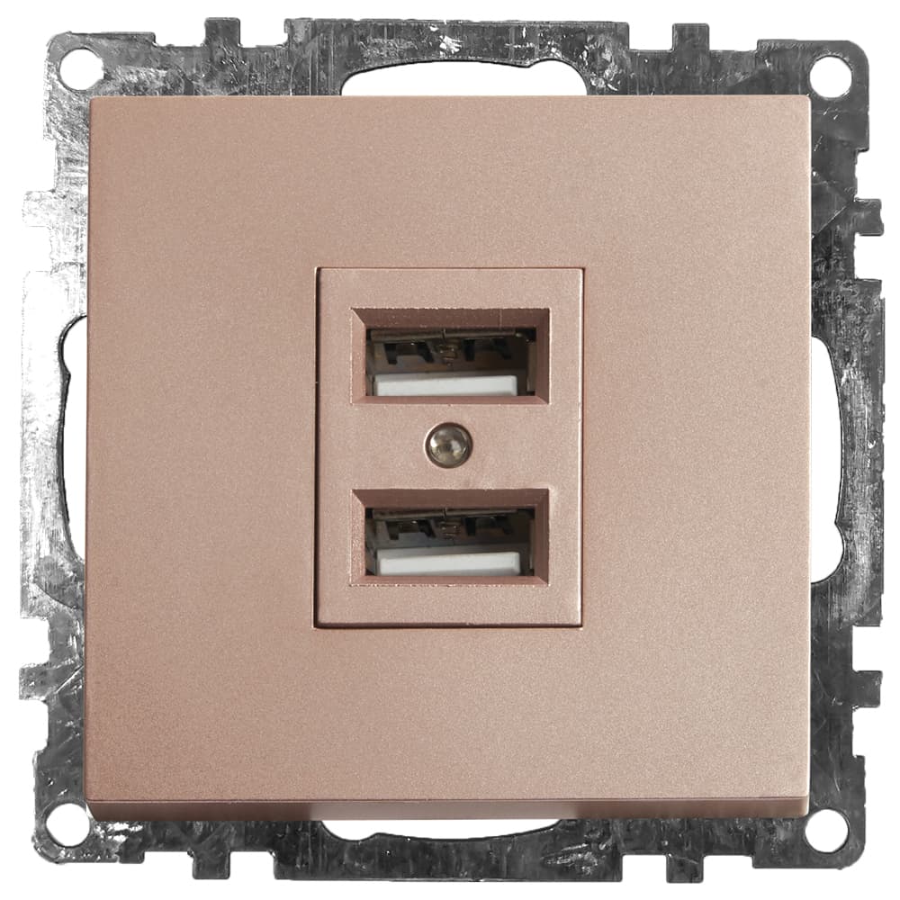 Розетка 2-местная USB (механизм), 250В, 2,4А, серия Катрин, шампань