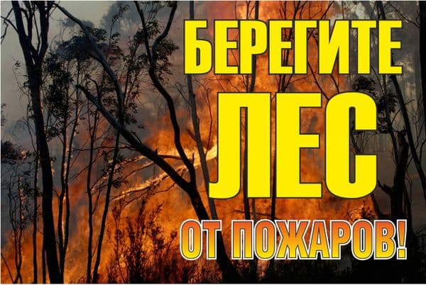 Знак ''Берегите лес от огня!'' 1200х800 мм