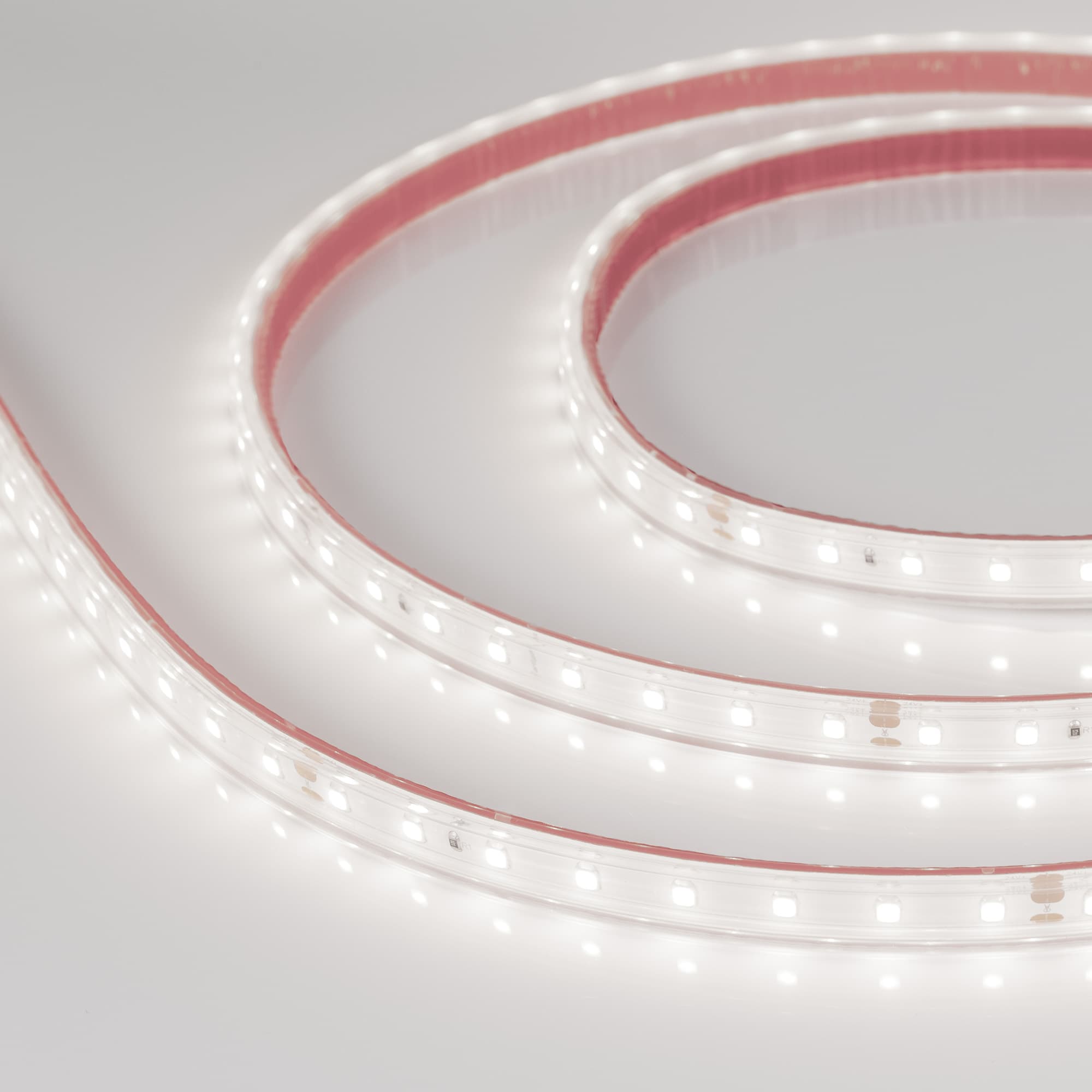 Лента светодиодная 6 Вт/м 24В IP67 5000K 80LED/м RT/RTW-A80-8-10mm SMD 2835 50 м