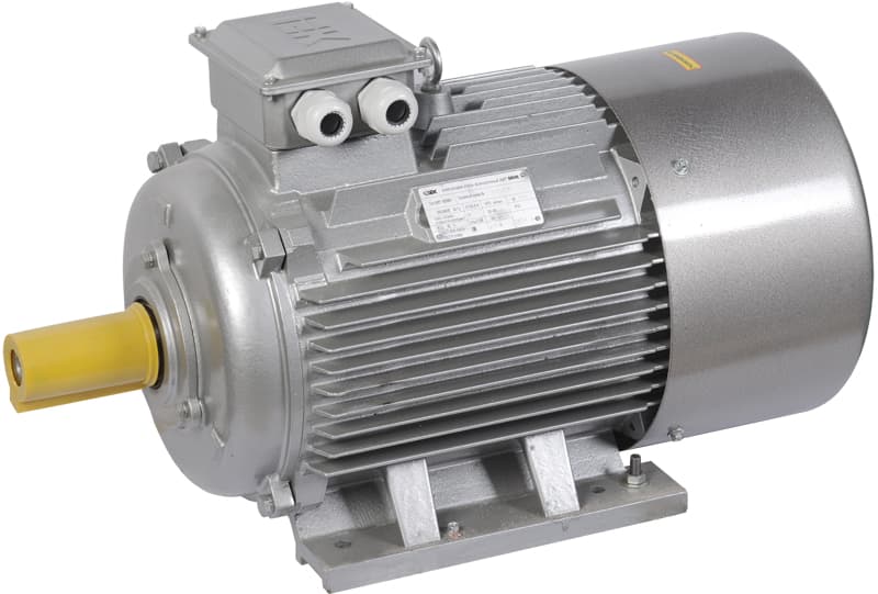 Электродвигатель трехфазный АИР 200L4 660В 45кВт 1500об/мин 1081 DRIVE